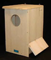 bf_CS10190_owls.jpg